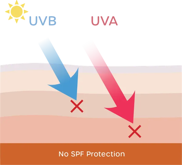 SPF Techonology Graphic 1