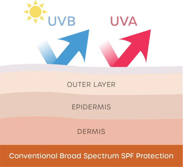 SPF Technology Graphic 2