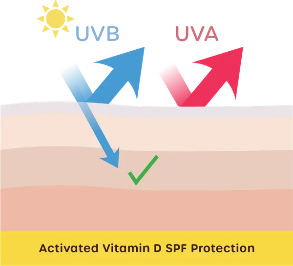 SPF Technology Graphic 3